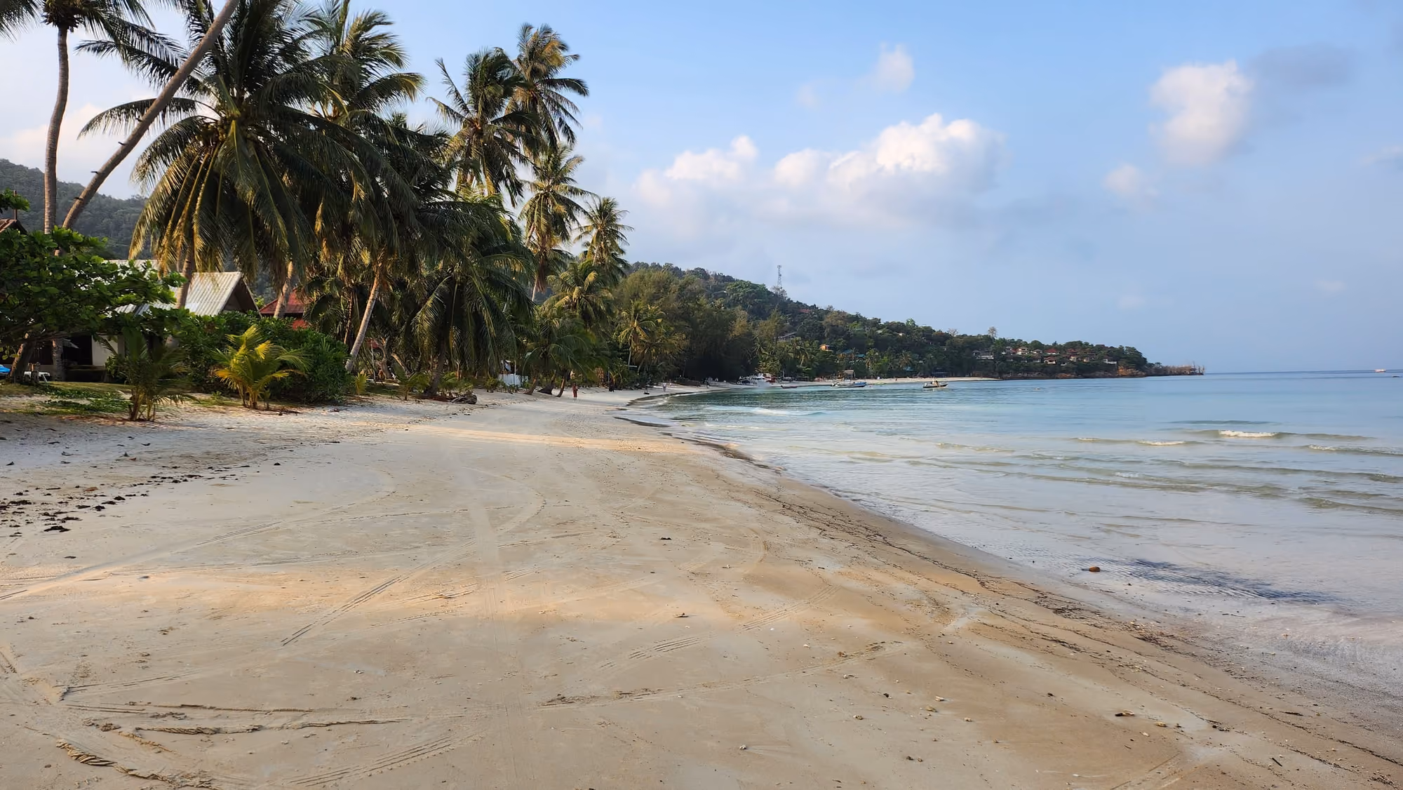 The long sandy beach of Haad Yao with coconut palms and calm, shallow sea curving towards a wooded point