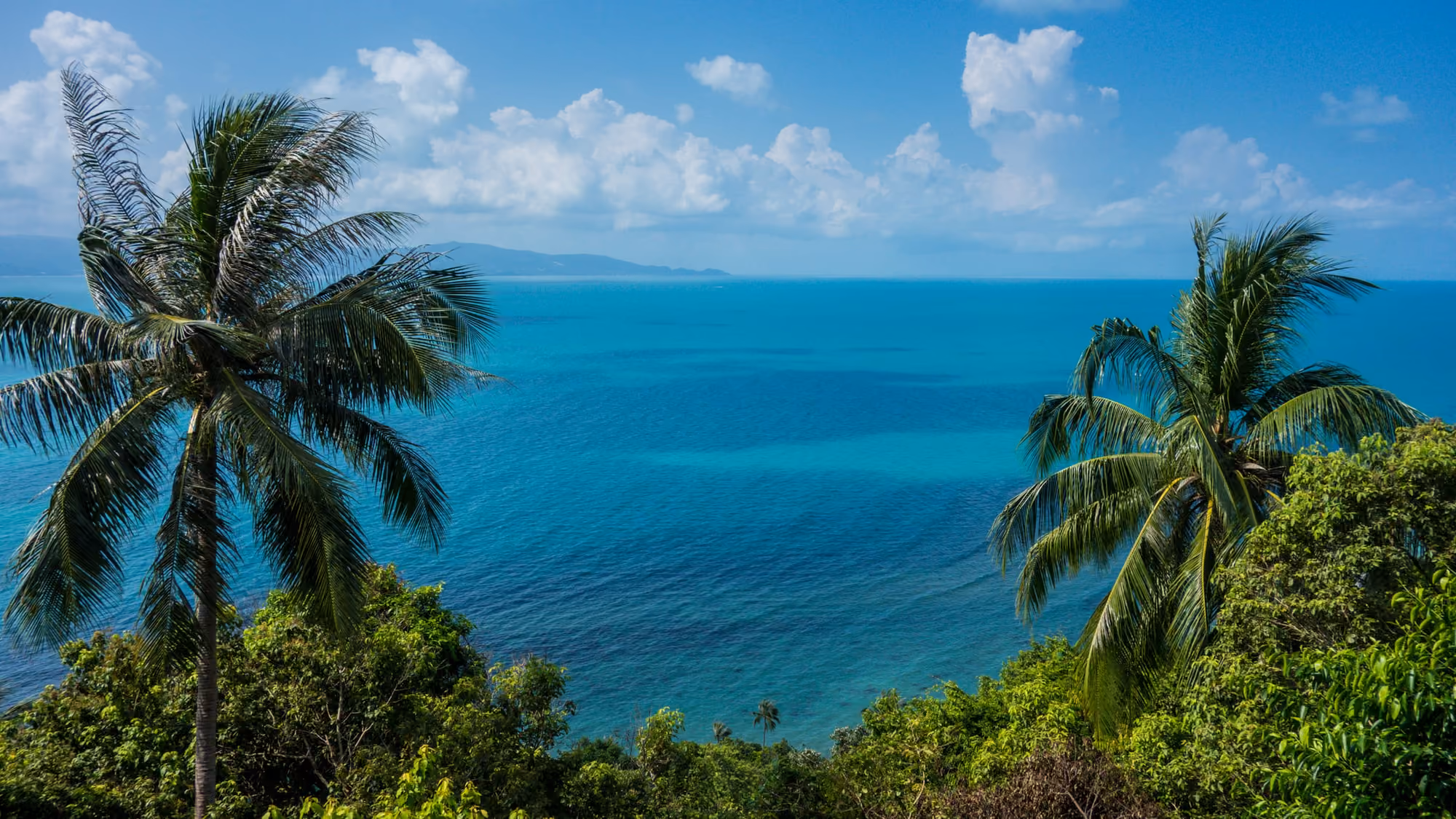 Turquoise sea seen between two coconut palms from a hillside on Koh Phangan, with a faint island on the horizon
