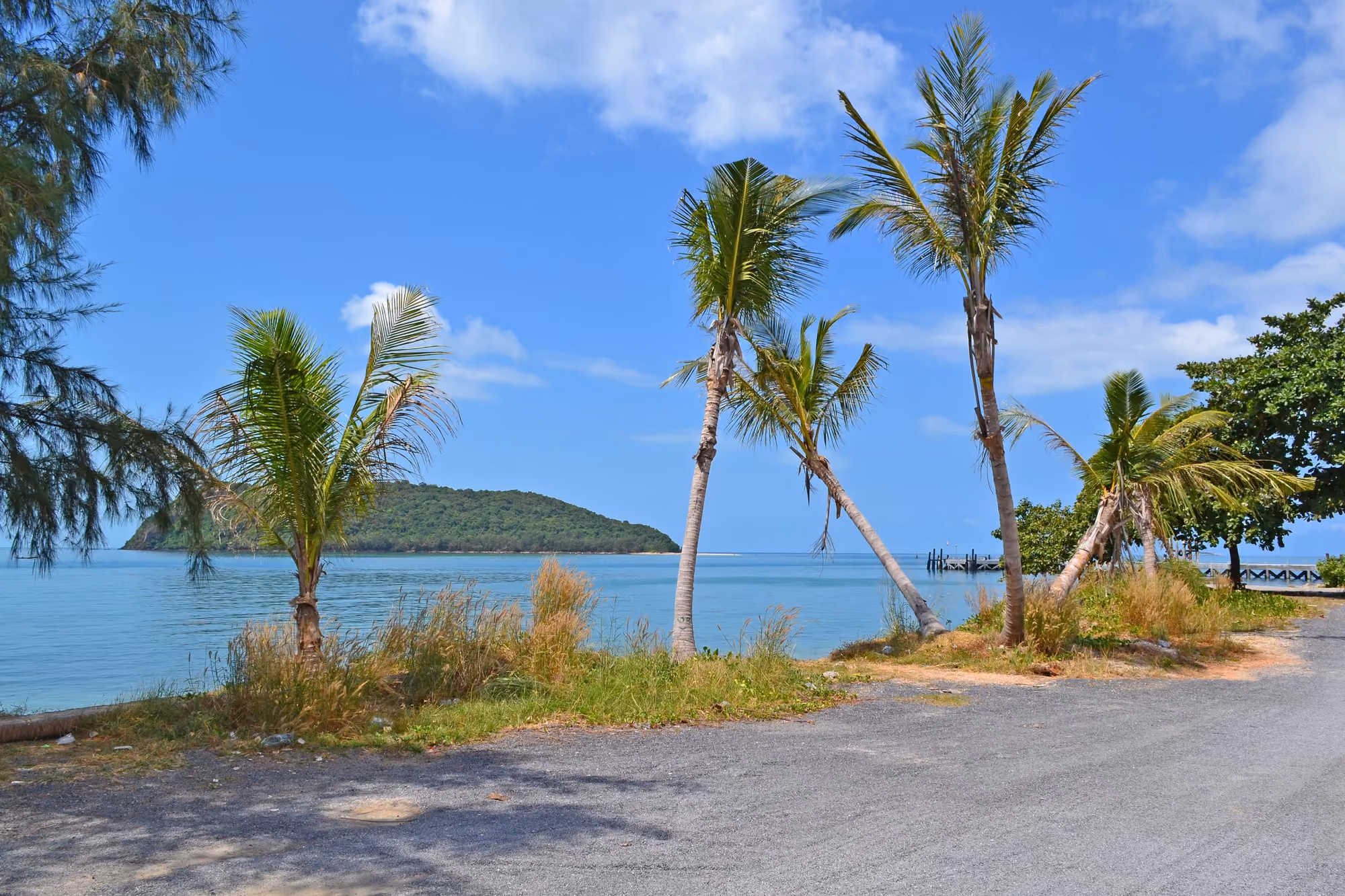 Coconut palms along the coast road at Thong Sala, with calm turquoise sea and a small wooded island offshore